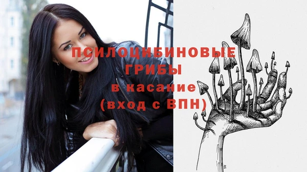 Альфа ПВП Протвино