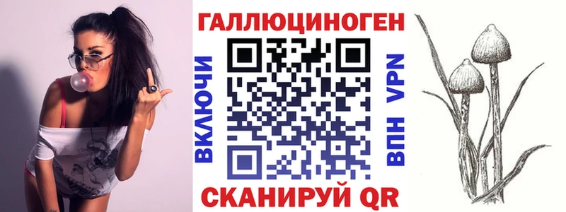 Галлюциногенные грибы Psilocybine cubensis  Красный Сулин 